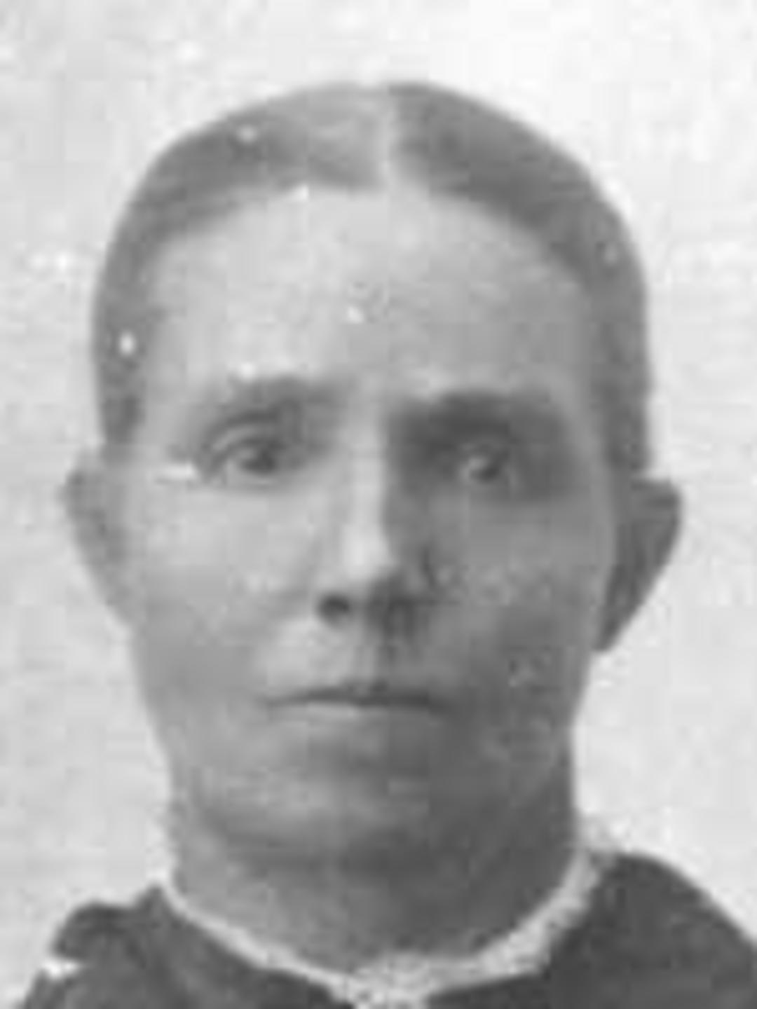 Jane Panting (1855 - 1939) Profile